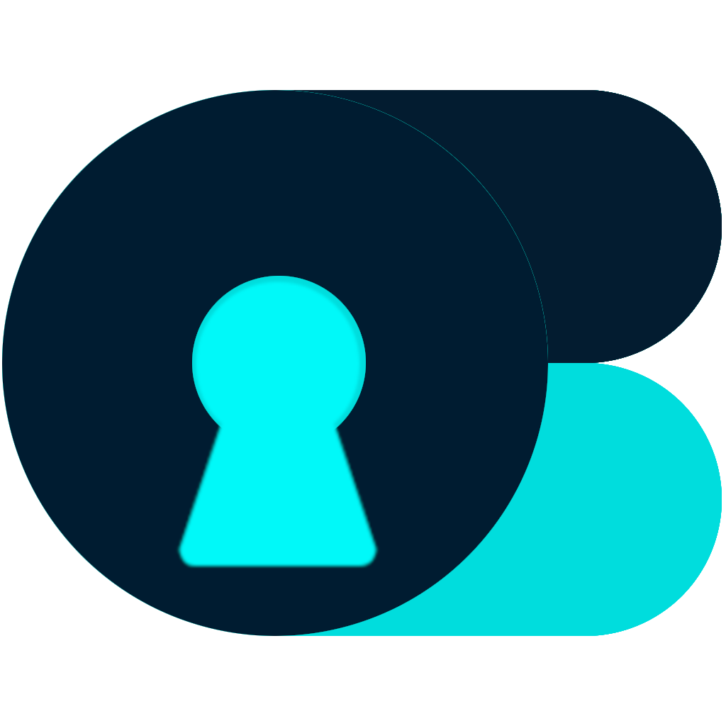 Securely store and manage your valuable and sensitive data anywhere obynt